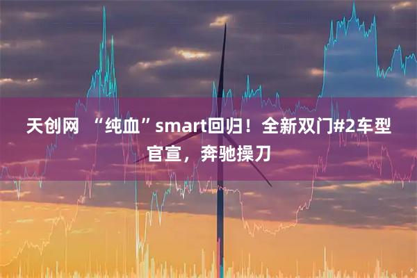天创网  “纯血”smart回归！全新双门#2车型官宣，奔驰操刀