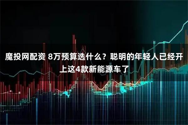 魔投网配资 8万预算选什么？聪明的年轻人已经开上这4款新能源车了