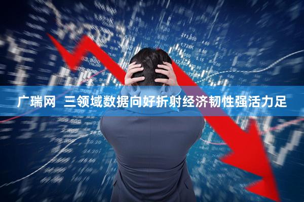广瑞网  三领域数据向好折射经济韧性强活力足
