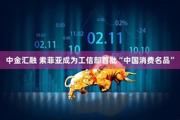 中金汇融 索菲亚成为工信部首批“中国消费名品”